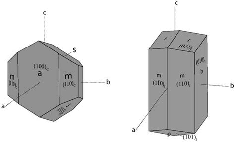 The common crystal form of clinopyroxene with faces labeled in ...