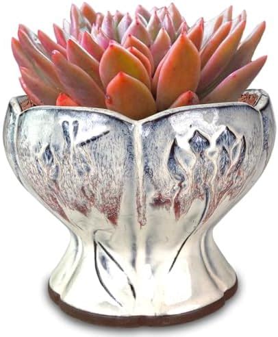 Amazon Summer Impressions Inch Glazed Terracotta Plant Pot