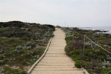 Asilomar State Beach, Pacific Grove, CA - California Beaches