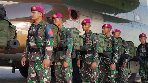 Hut Ke 73 Tni Ini Makna Dibalik Motif Seragam Loreng Digunakan Juga Di Peralatan Militer