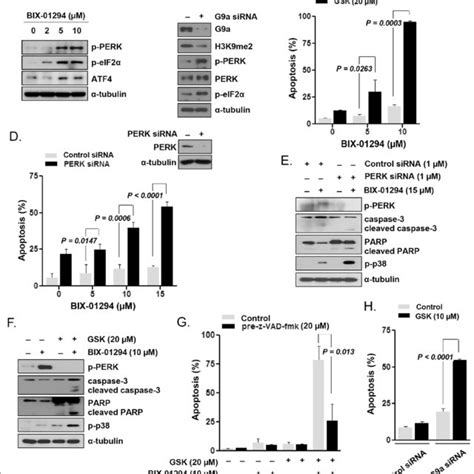 Sensitization Of Aml Lscs But Not Hscs To Bix 01294 Induced Apoptosis