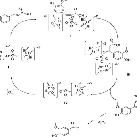 Oxidative catalytic mechanism Bi2WO6 for the synthesis of ferulic acid ...