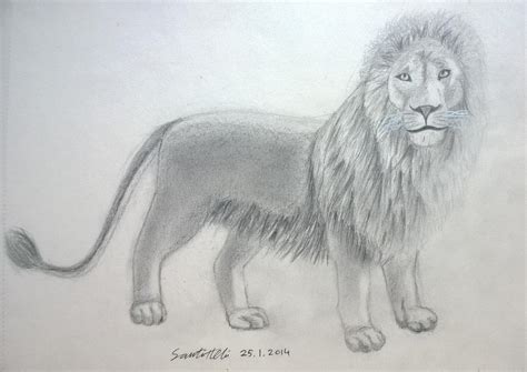 Aslan by falcoillusion982 on DeviantArt