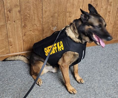 Henry County Sheriffs K9s Receive Body Armor Donation