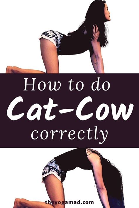 How To Do Cat Cow Pose Correctly Video Tutorial Inside The Yogamad