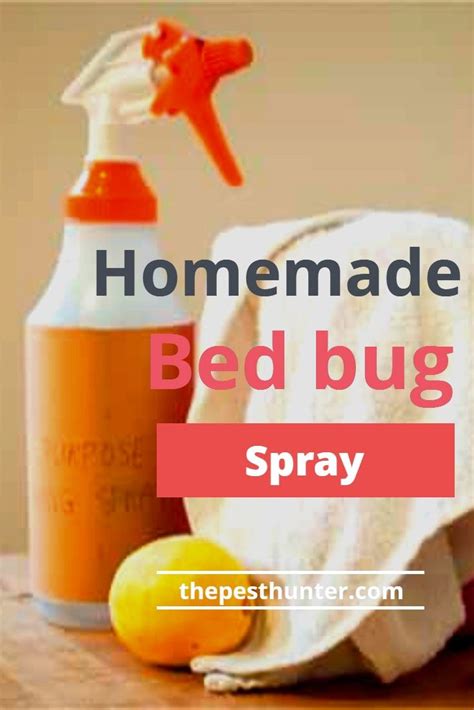 bed bug spray straight  home bed bug spray bed bugs