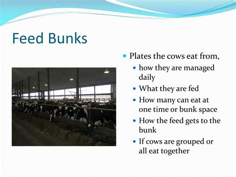 Ppt Ns Dairy Farming Powerpoint Presentation Free Download Id 1166222