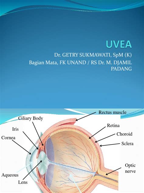 Penyakit Uvea Pdf