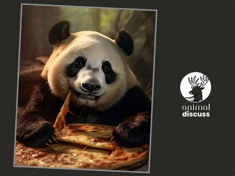 Panda Foods And Diet Habits: What Do Panda Eat? - Animal Discuss