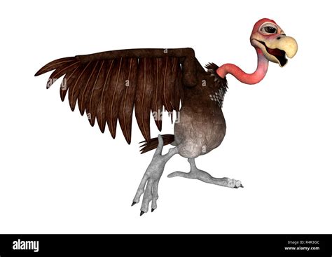 3D Rendering Vulture on White Stock Photo - Alamy