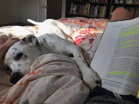 About Carrie Wiita — MFT California