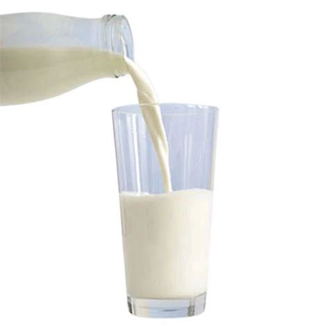rich  nutrients high protein natural flavor dairy raw fresh  milk