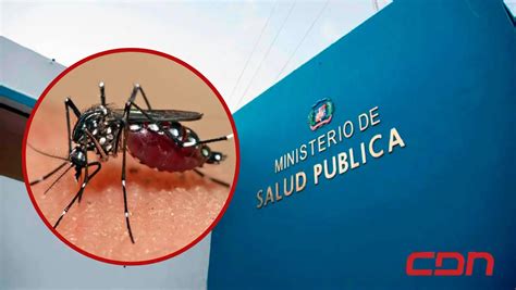 Sp Emite Alerta Epidemiol Gica Por Casos Dengue En Las Am Ricas