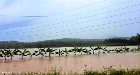 Saif Arash Photography: Kerala rainy season photos - 2014