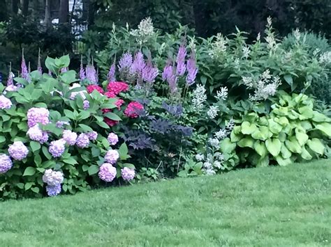 Prospect Gardens Princeton University Princeton University Astilbe Front Yard Garden