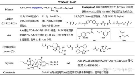 Adc有效载荷之甾体类化合物二 再生元、艾伯维、映恩 知乎