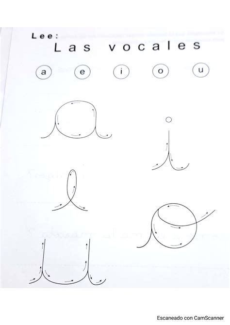 Cuadernillo De Vocales Any Desarrollo De Habilidades Comunicativas