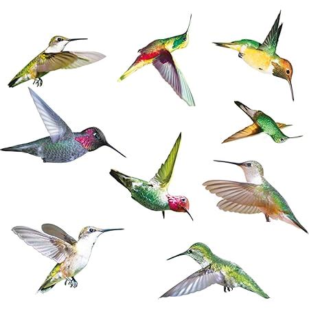 Autocollant D Anti Collision Pour Oiseaux Sticker Fenetre Neuf