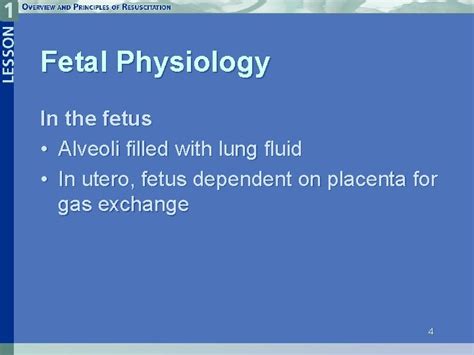 Lesson 1 Overview And Principles Of Resuscitation Neonatal