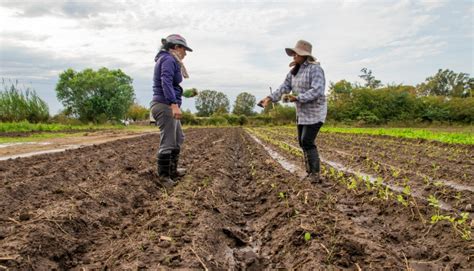 Asociaciones Civiles Trabajan En Conjunto Para Mejorar La Salud De Las Mujeres Rurales Agro