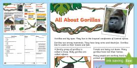 Gorillas Fact File Template Gorilla Teacher Made Twinkl