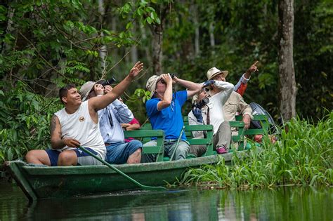 Tourists Observe Wildlife From A Wooden License Image 71400105