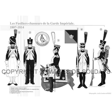 The Fusiliers Chasseurs Of The French Imperial Guard 1807 1814