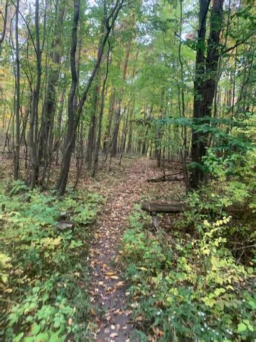 Best Camping Trails In Brockport AllTrails