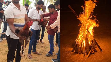 Sankranthi Special Bhogi Mantalukodi Pandelu Celebrations In Andhra