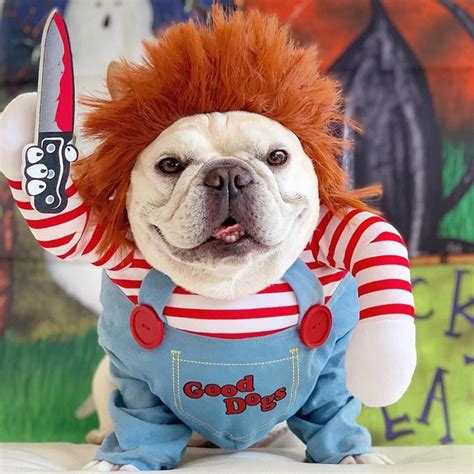 Funny Bulldog Costumes