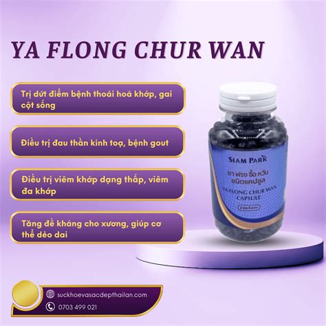 Giải pháp cho xướng khớp từ thuốc rắn Ya Flong Chur Wan