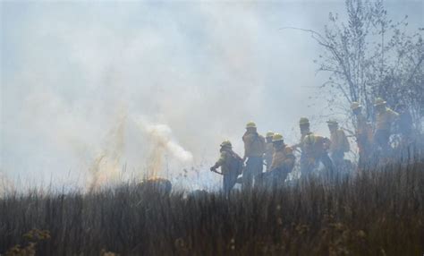 Han Muerto Brigadistas Combatiendo Incendios En Edomex