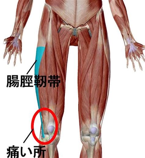 ランナー膝 腸脛靭帯炎 は自分で治せるセルフケアを行い走っても痛くならない体を取り戻す ココロもカラダも健康で幸せに