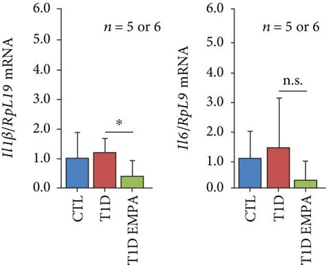 Effect Of Empagliflozin And Gaba On The Expression Of Er Stress