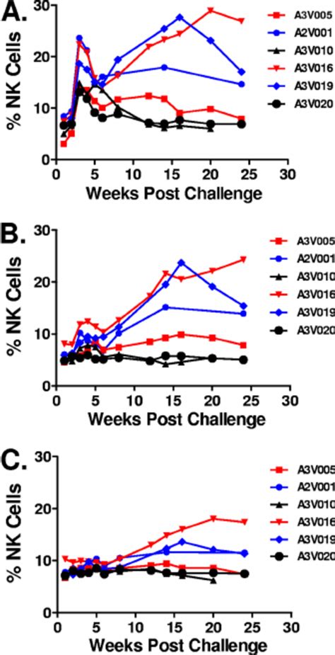 Nk Cell Mediated Adcc Responses Following Sivmac251 Download Scientific Diagram