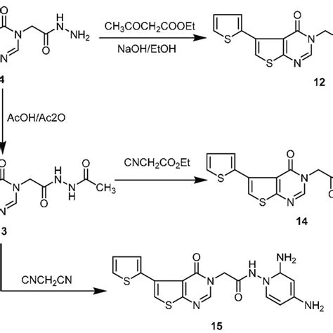 Scheme 3 Synthetic Route For Compounds 12 15 Download Scientific