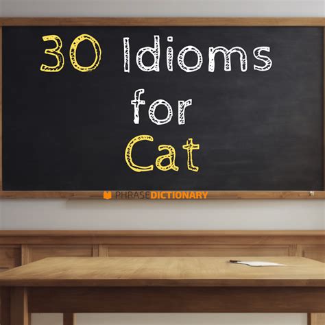 30 Idioms for Cat