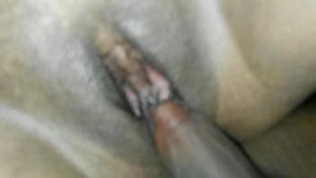 Puro Disfrute XVIDEOS