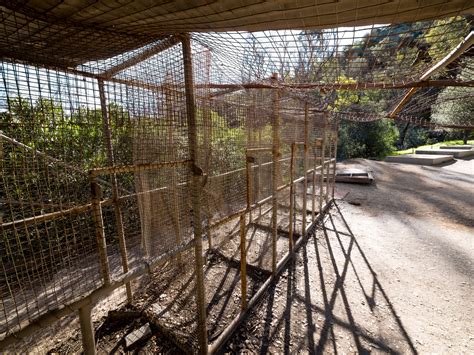 Old LA Zoo - Unfamiliar Land