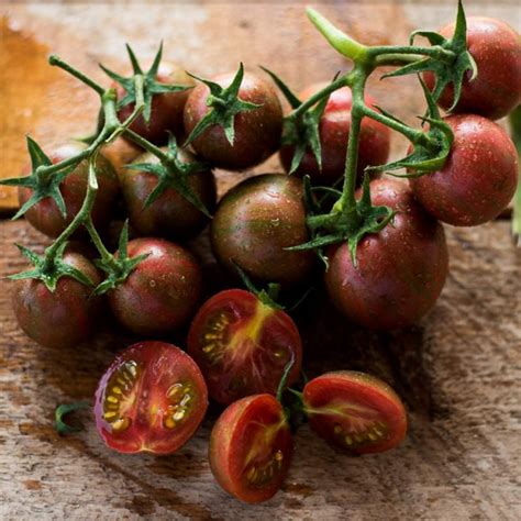 Purple Bumble Bee Tomato Organic 70 Days