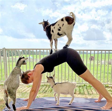 Goat Yoga Near Me | Udderly Ridiculous Farm Life | Goat Farm | Ontario