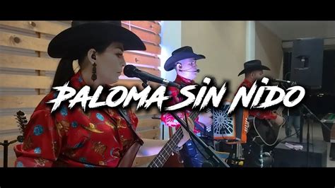 Paloma Sin Nido En Vivo YouTube