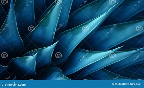 Agave Cactus Abstract Natural Pattern Background Stock Illustration