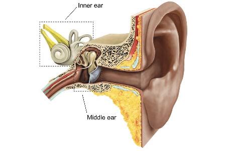 Stapedectomy Surgery in India: Causes, Procedure, Hospitals