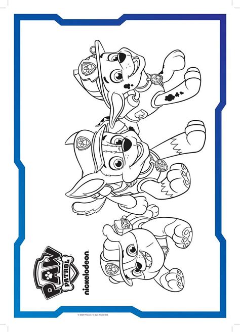 Nick Jr Paw Patrol Coloring Book