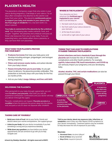 PLACENTA HEALTH