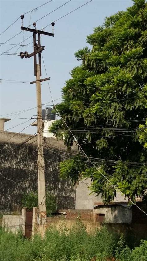 Residents Wary Of Naked Electric Cables The Tribune