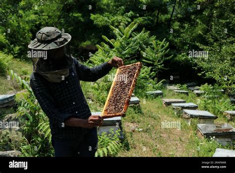 Bee Farming India Hi Res Stock Photography And Images Alamy