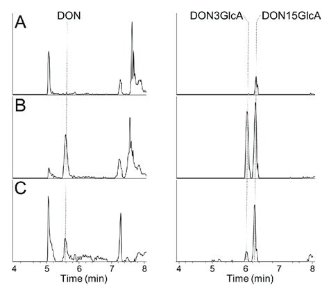 Figure A1 Extracted Ion Chromatograms ±3 Ppm From Full Scan Lc Hrms Download Scientific