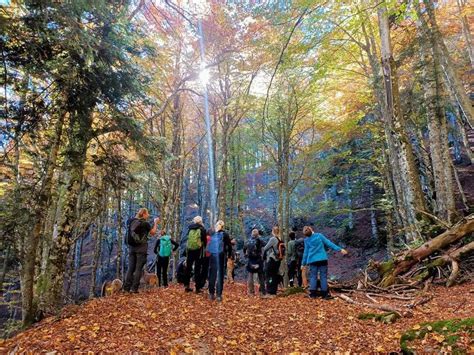 Ponte Ognissanti 2022 In Emilia Romagna 5 Passeggiate D Autunno Per